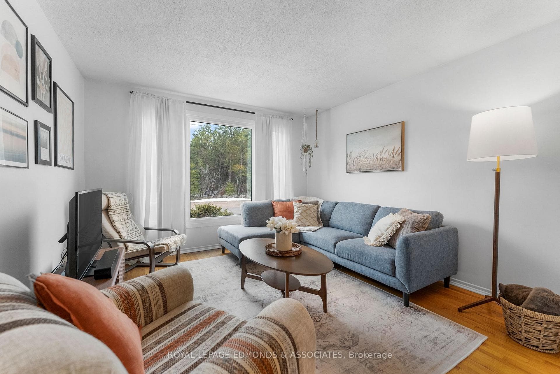 20 Wilbert Street photo 6