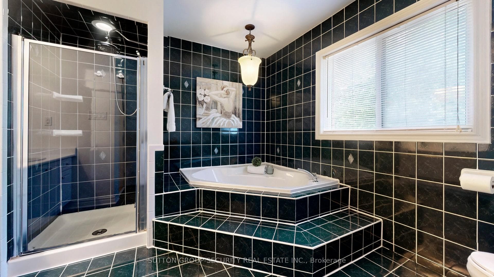 70 Brasswinds Court photo 17