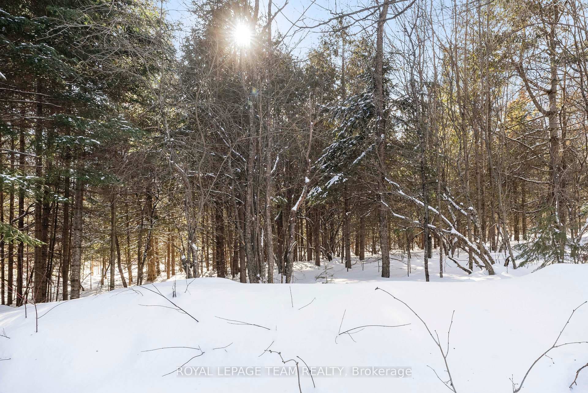 105 Heins Road photo 48