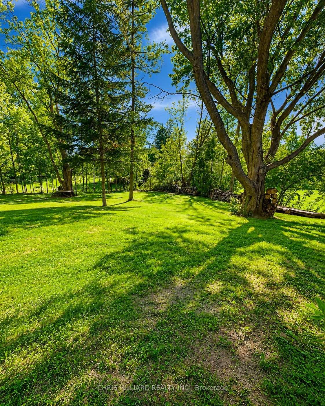 1668 River Road photo 15