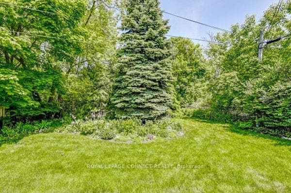 Backs to Green Space