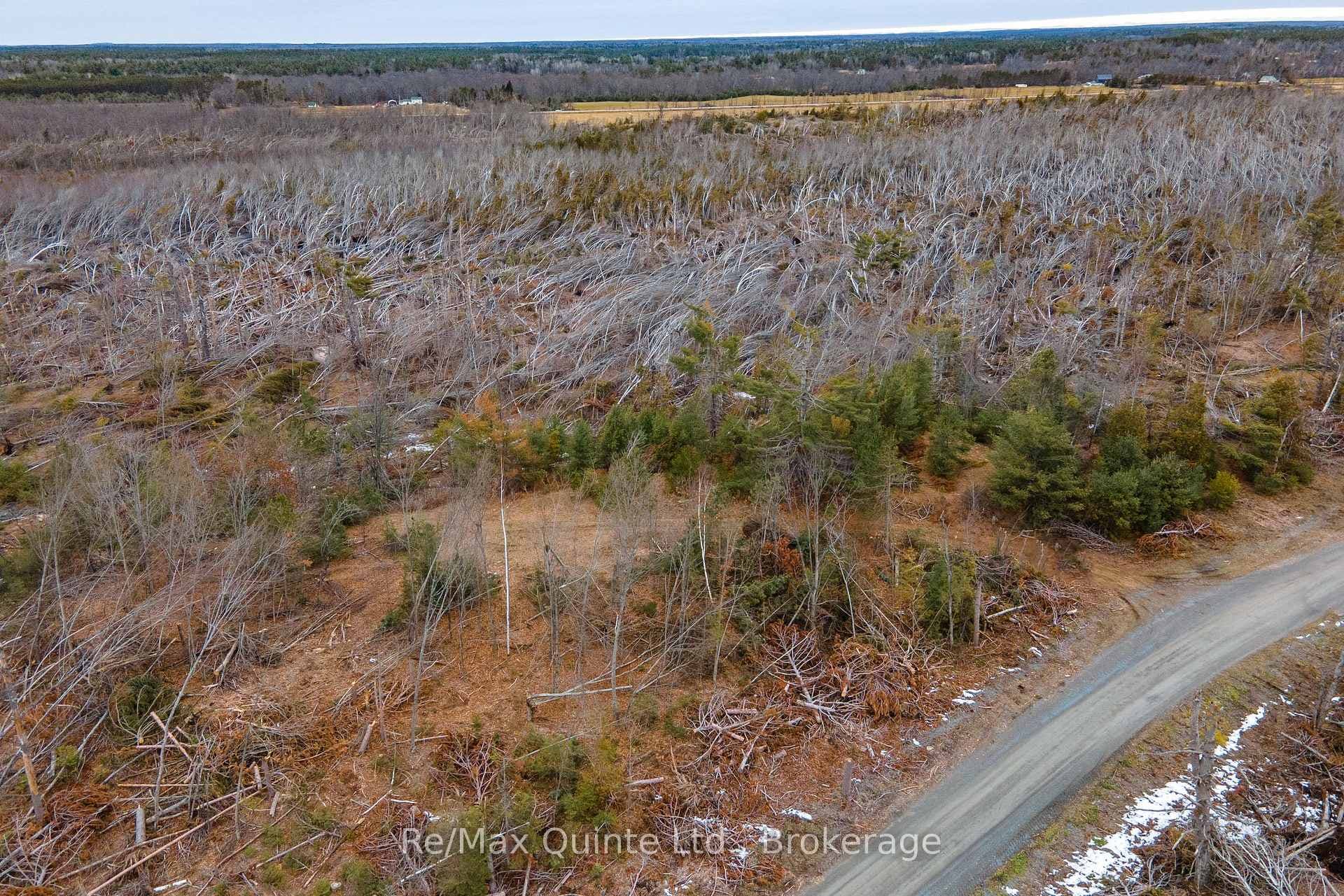 0 Potter Settlement Road photo 12