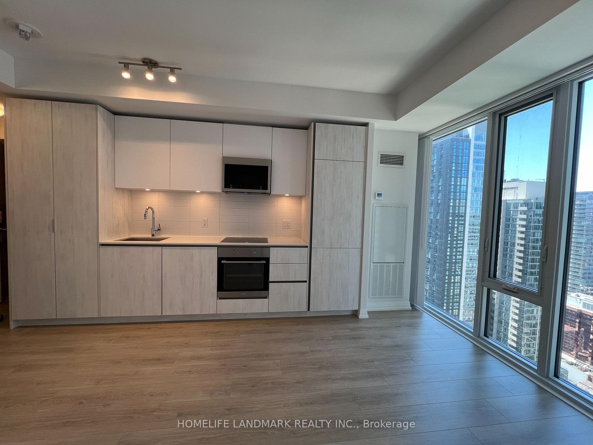8 Widmer Street Unit 3615 photo 4