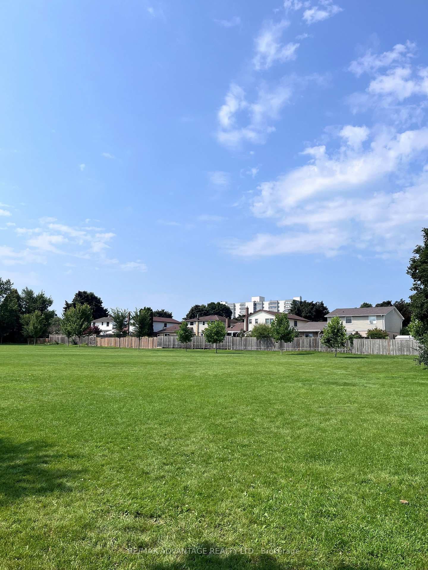 586 Steeplechase Drive photo 3