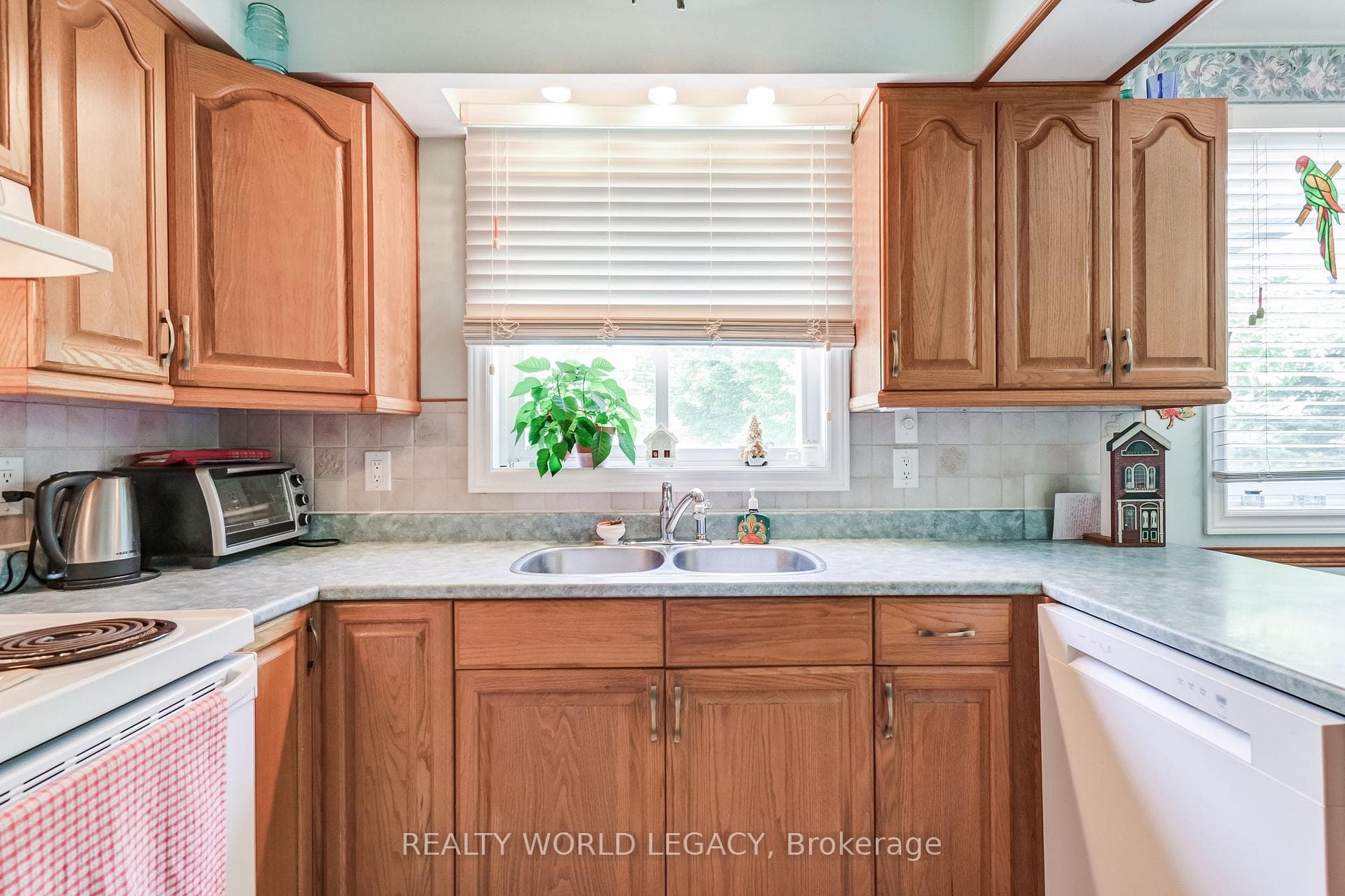129 Shanley Terrace photo 13