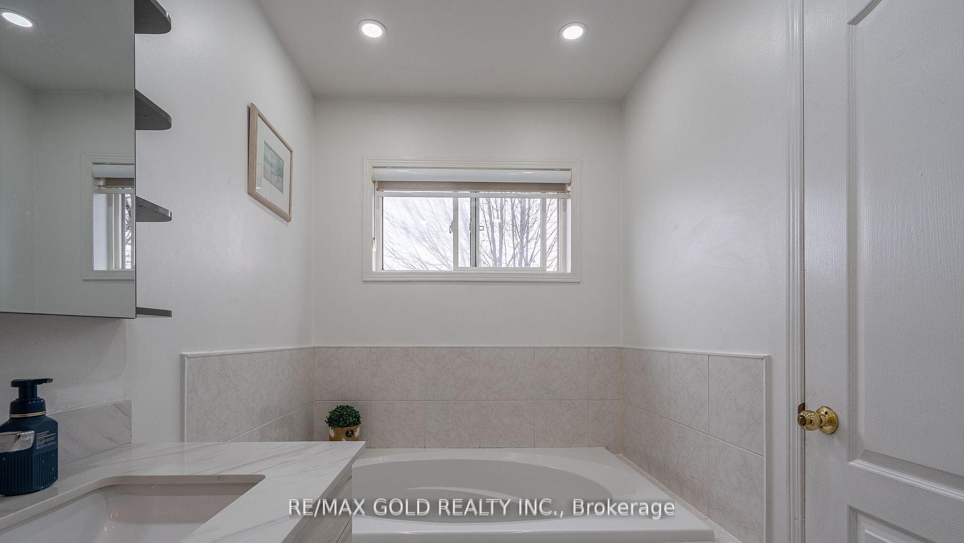102 Bunchberry Way photo 17
