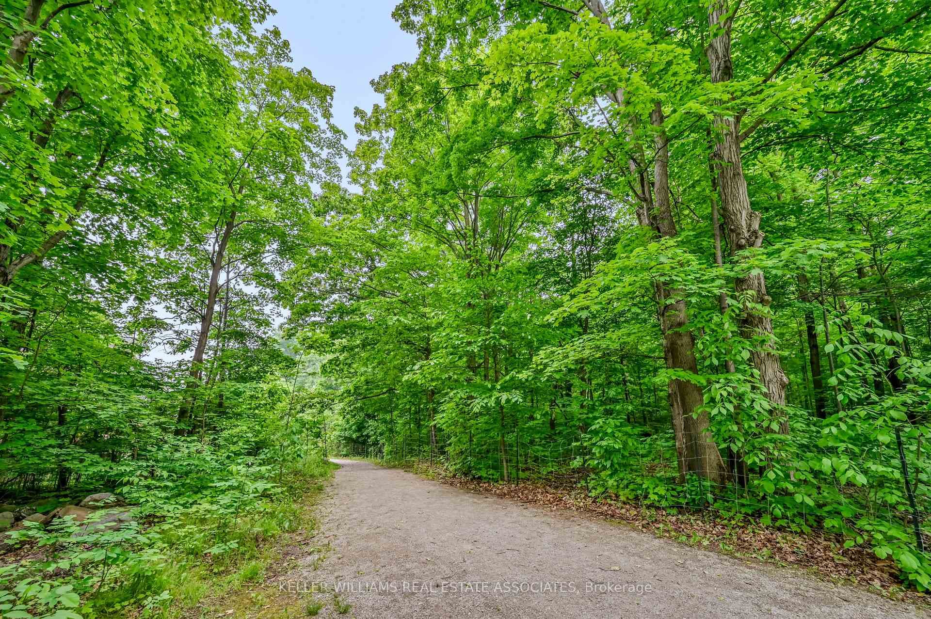 Preserve WoodsTrail