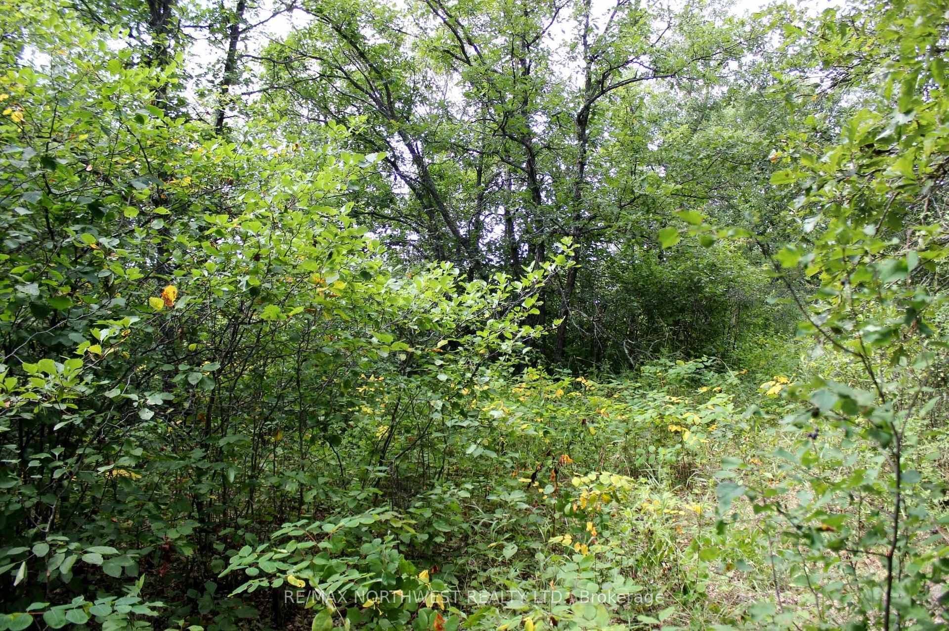 220 MORRISON RD photo 16