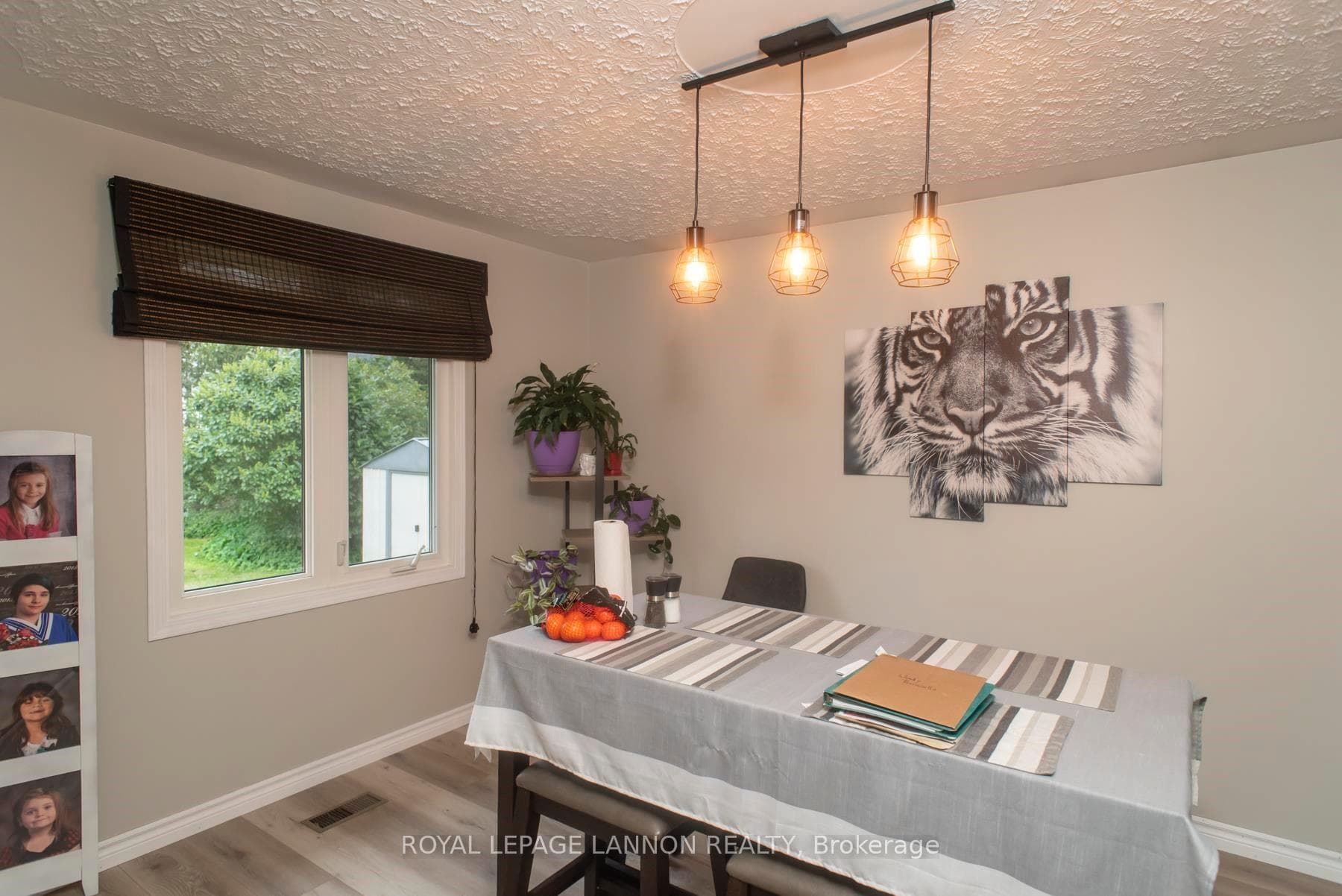 164 County Boulevard photo 6