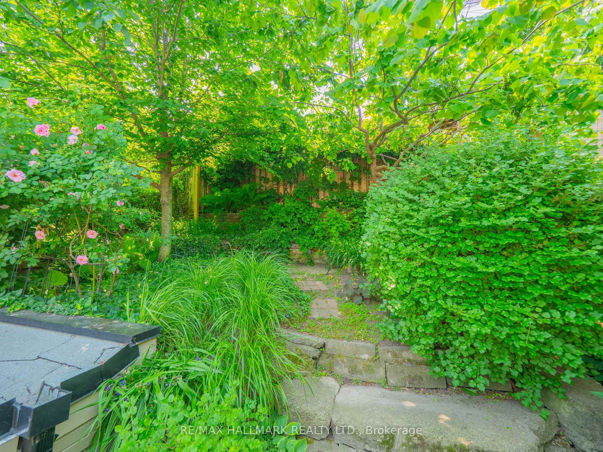 51 Bain Avenue photo 48