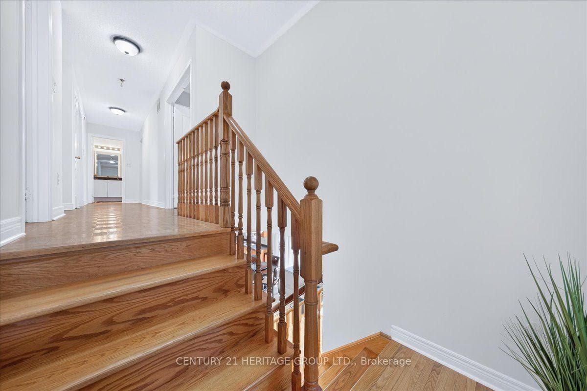 19 Reynolds Avenue photo 20