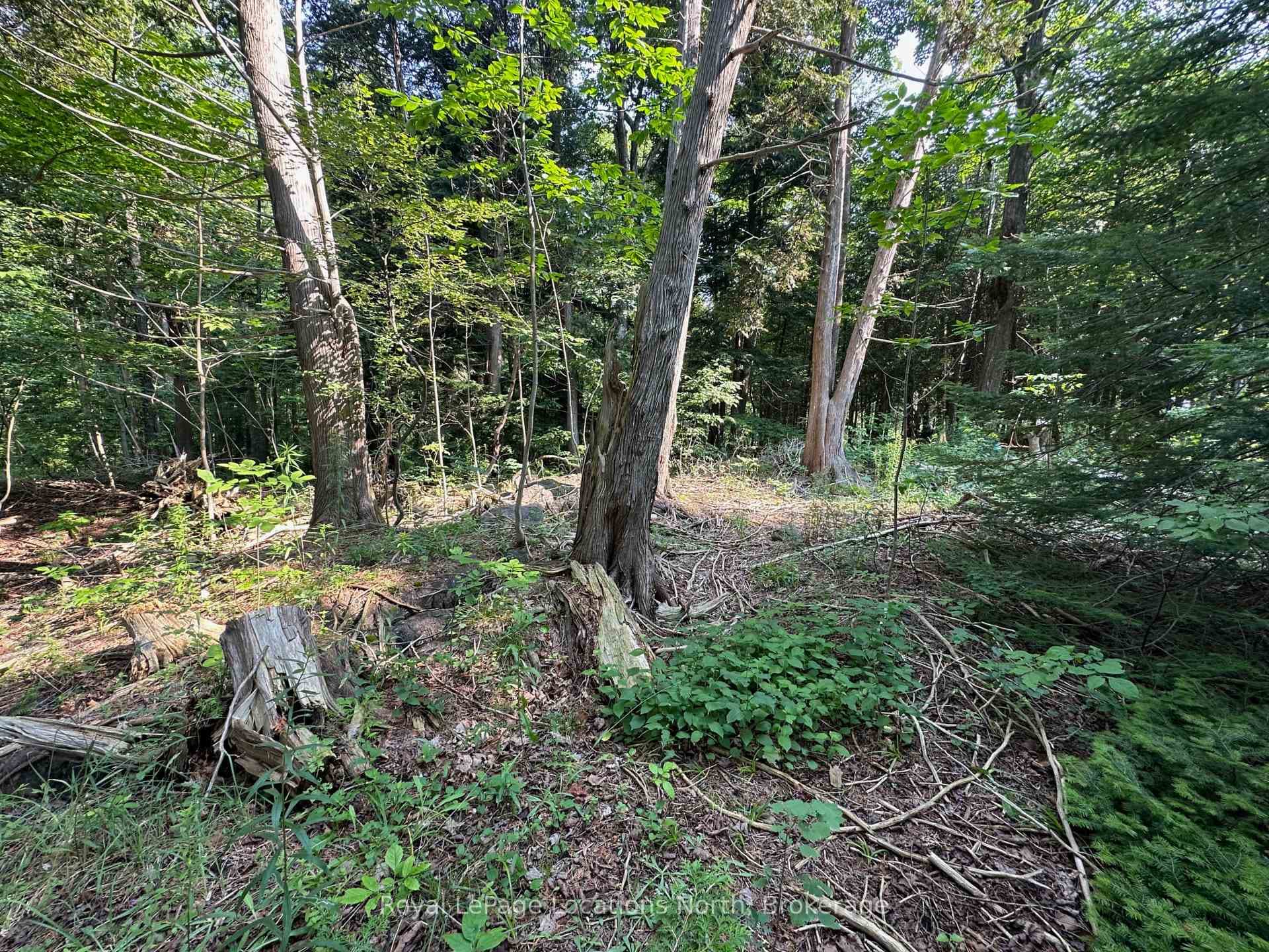Lot 5 26 Highway photo 13