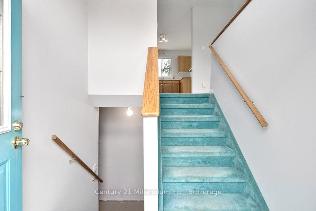 46 Royal Beech Drive photo 10
