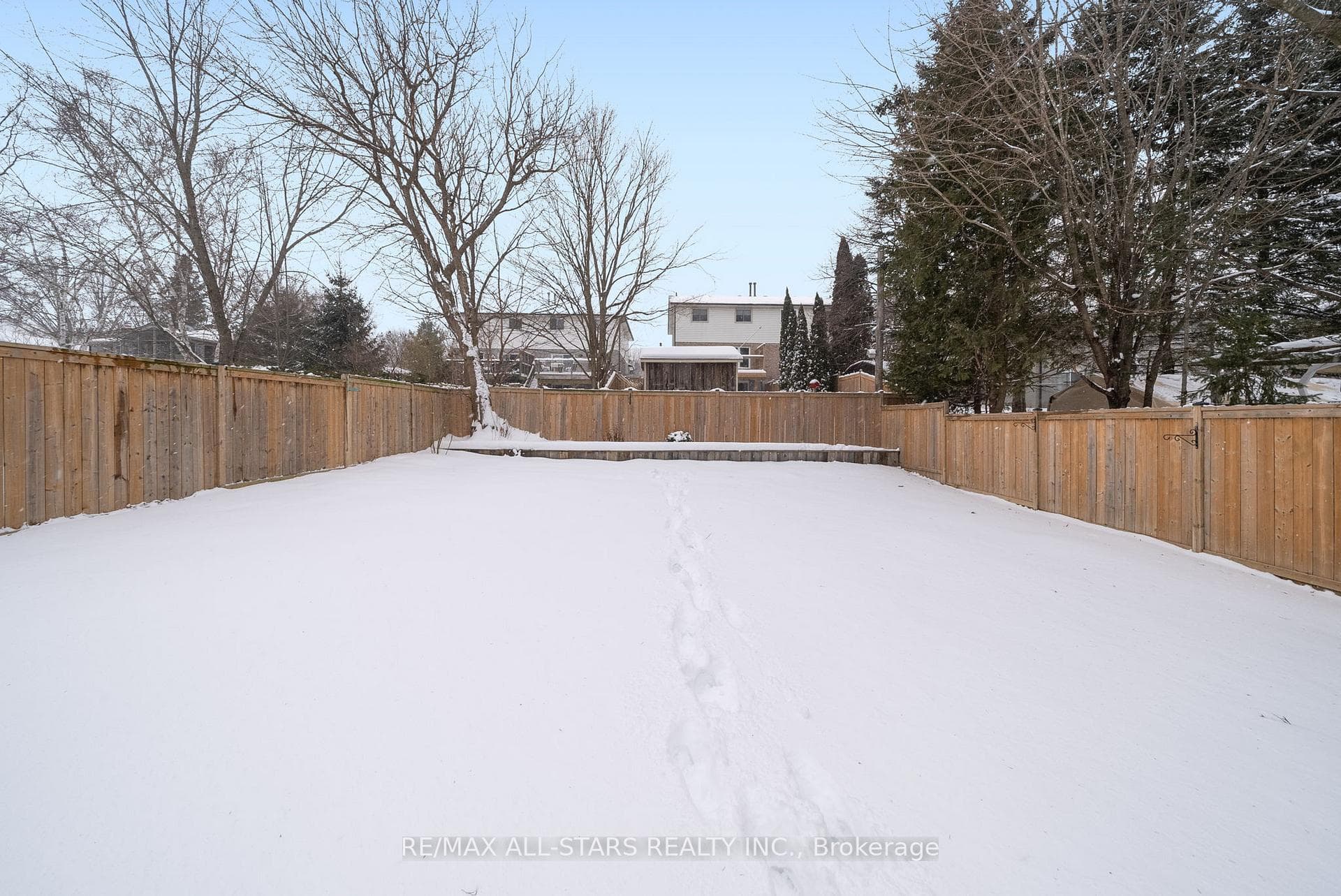 386 Bigelow Street photo 38