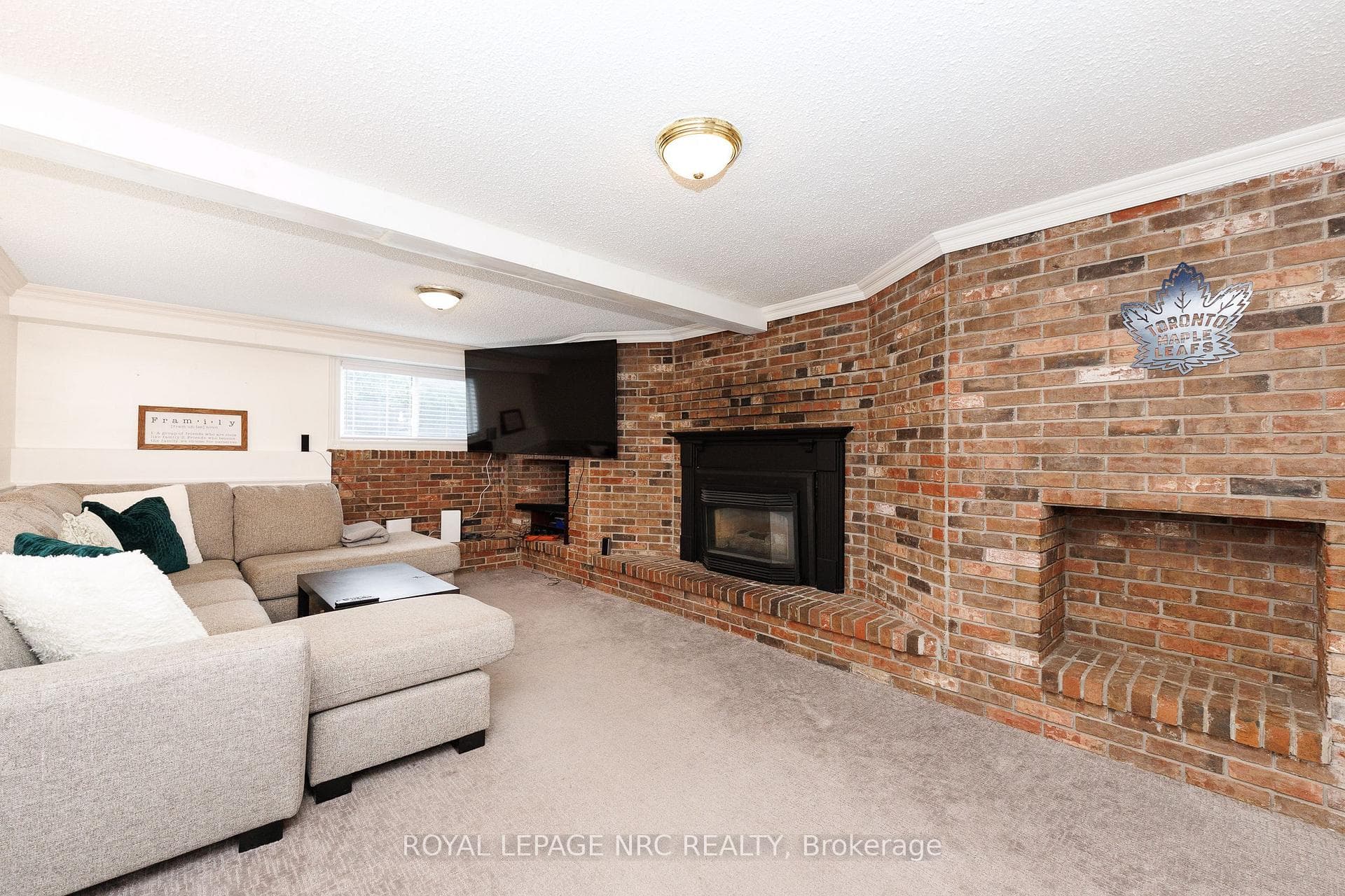 Basement Rec room