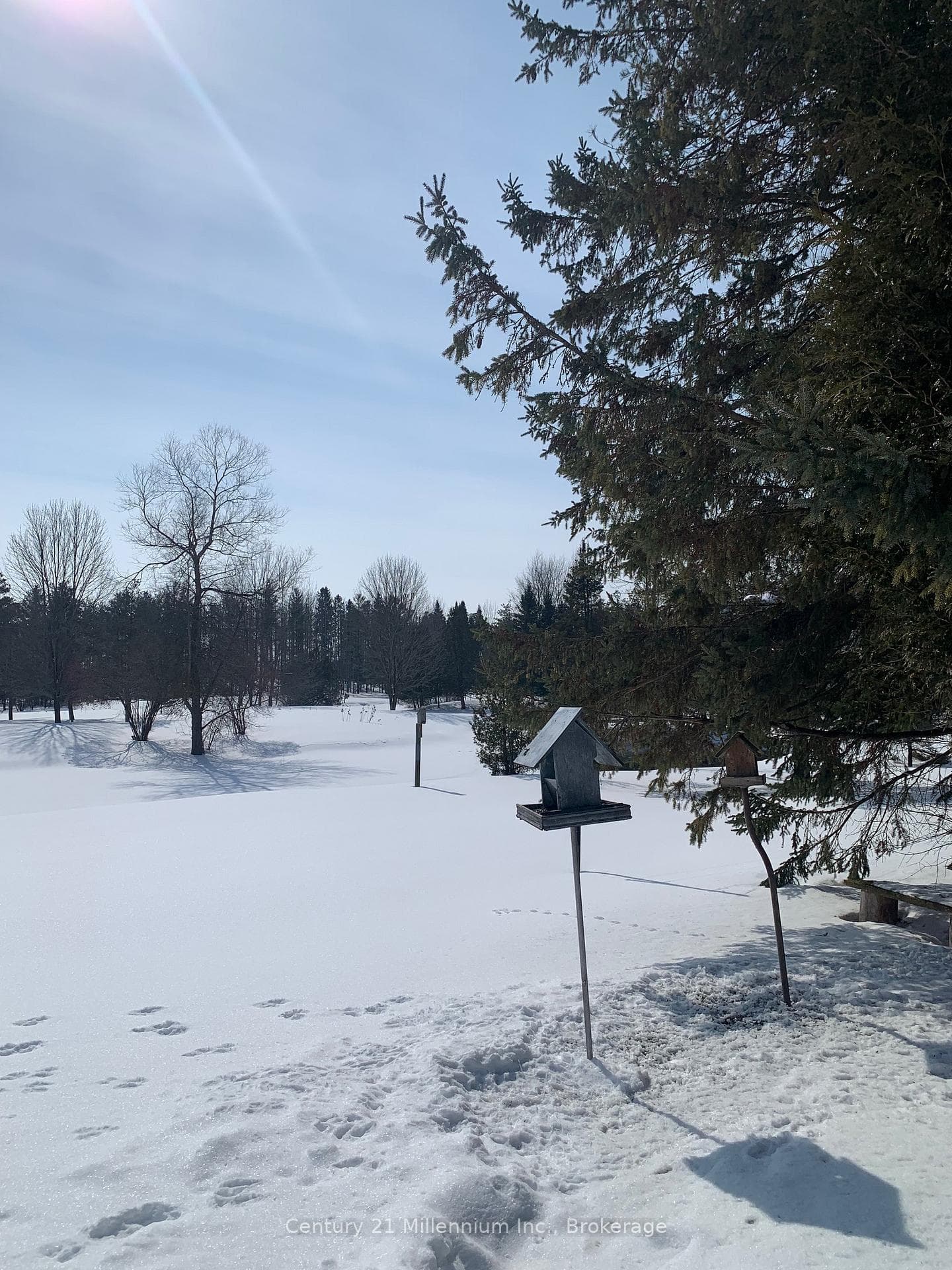 The birds love it here!