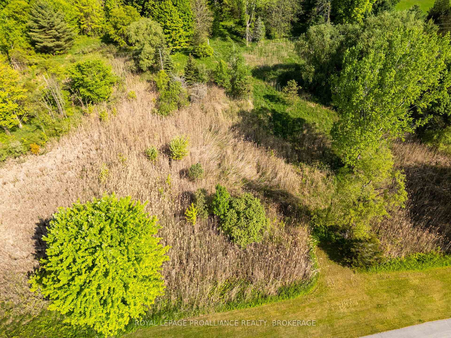 1168 Thousand Island Parkway photo 5