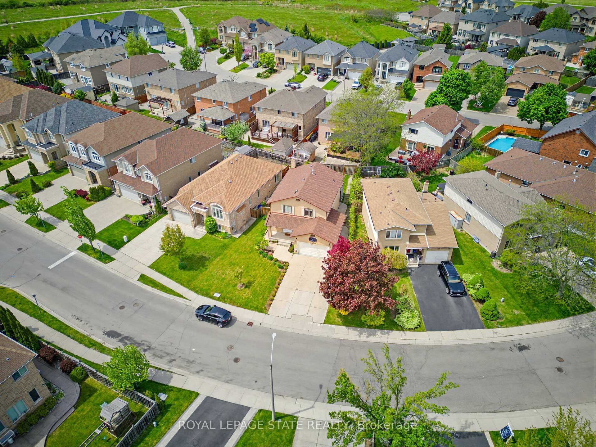 459 Dicenzo Drive photo 4