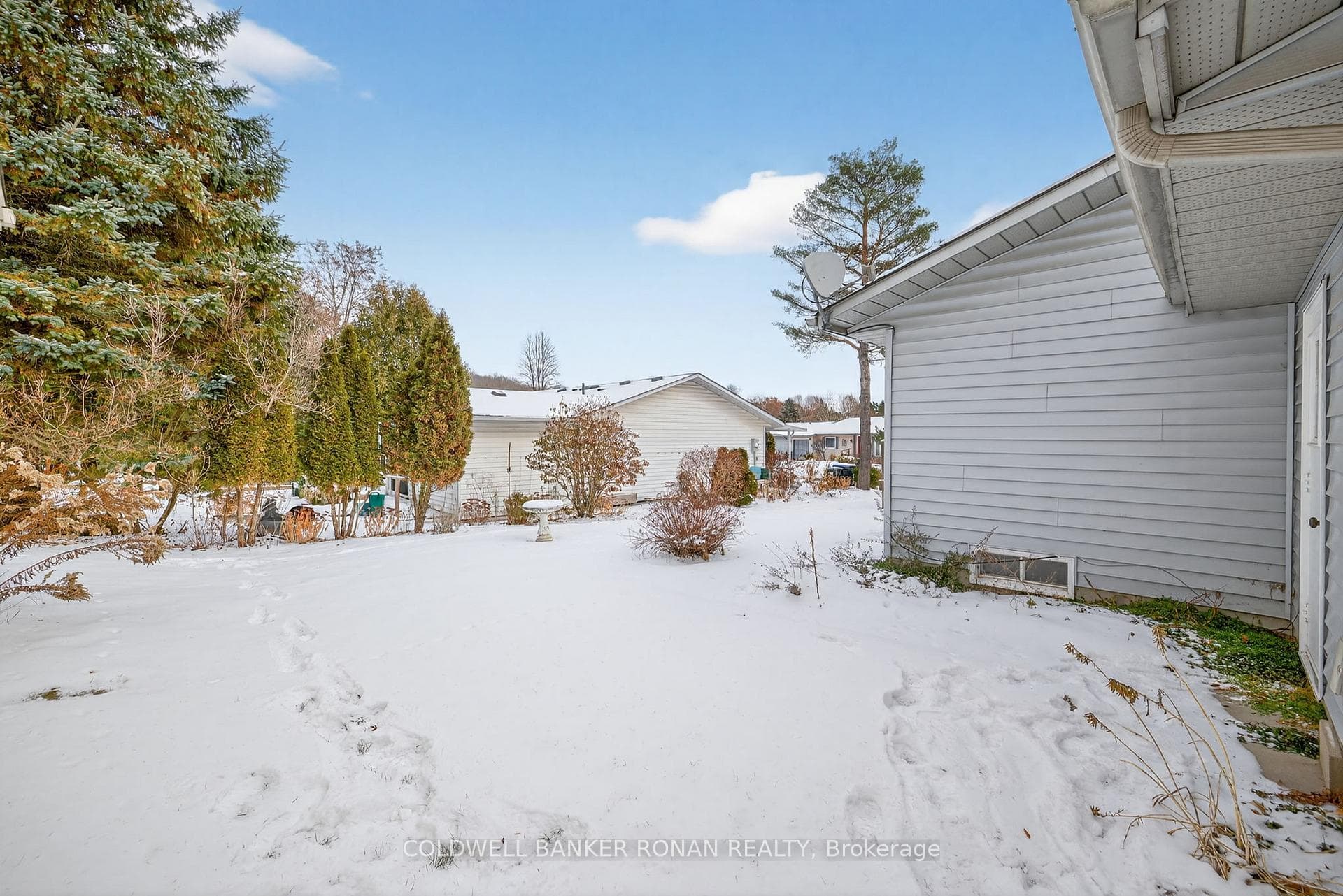 2 Balsam Court photo 39