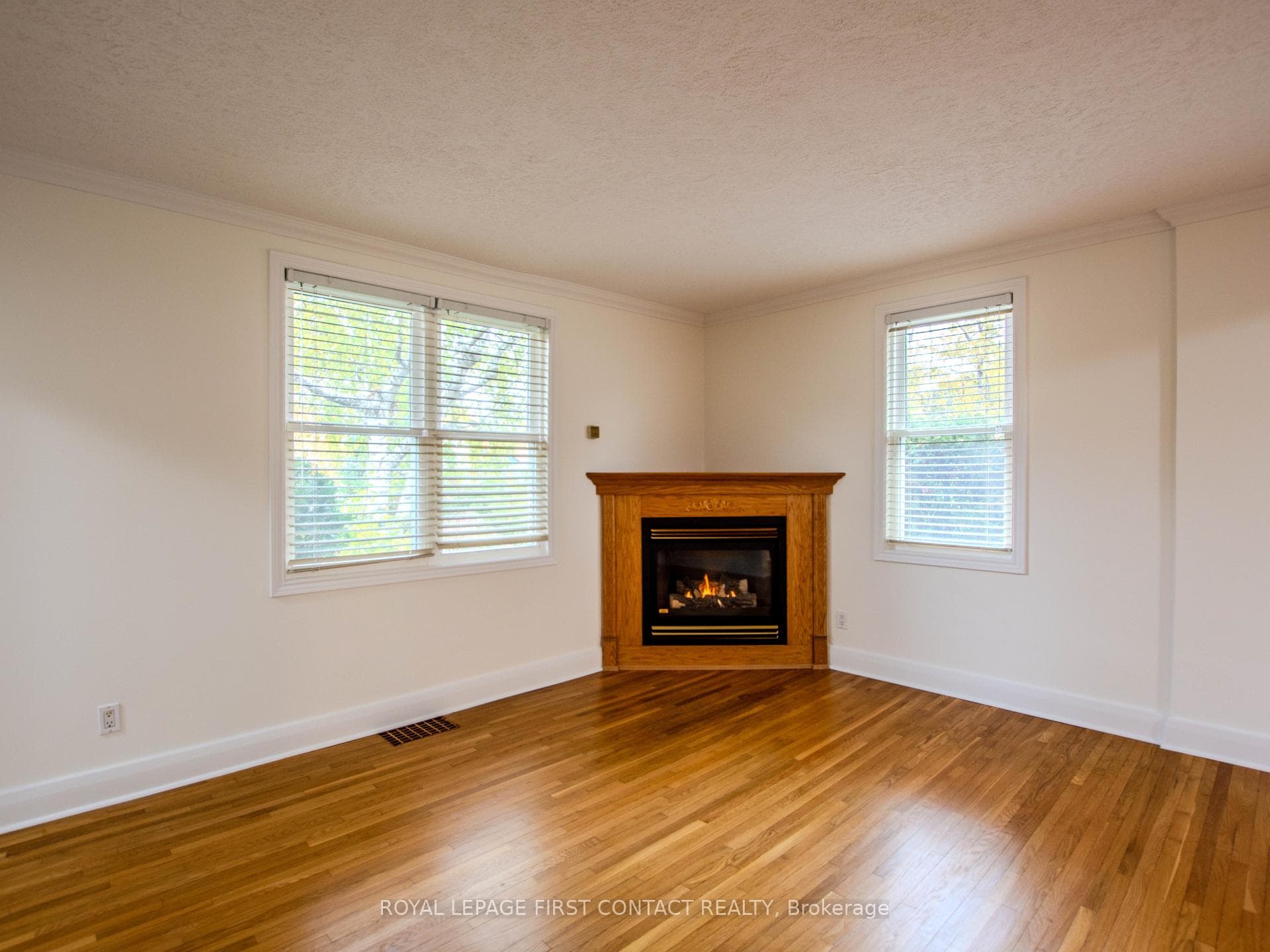 25 Holgate Street photo 6