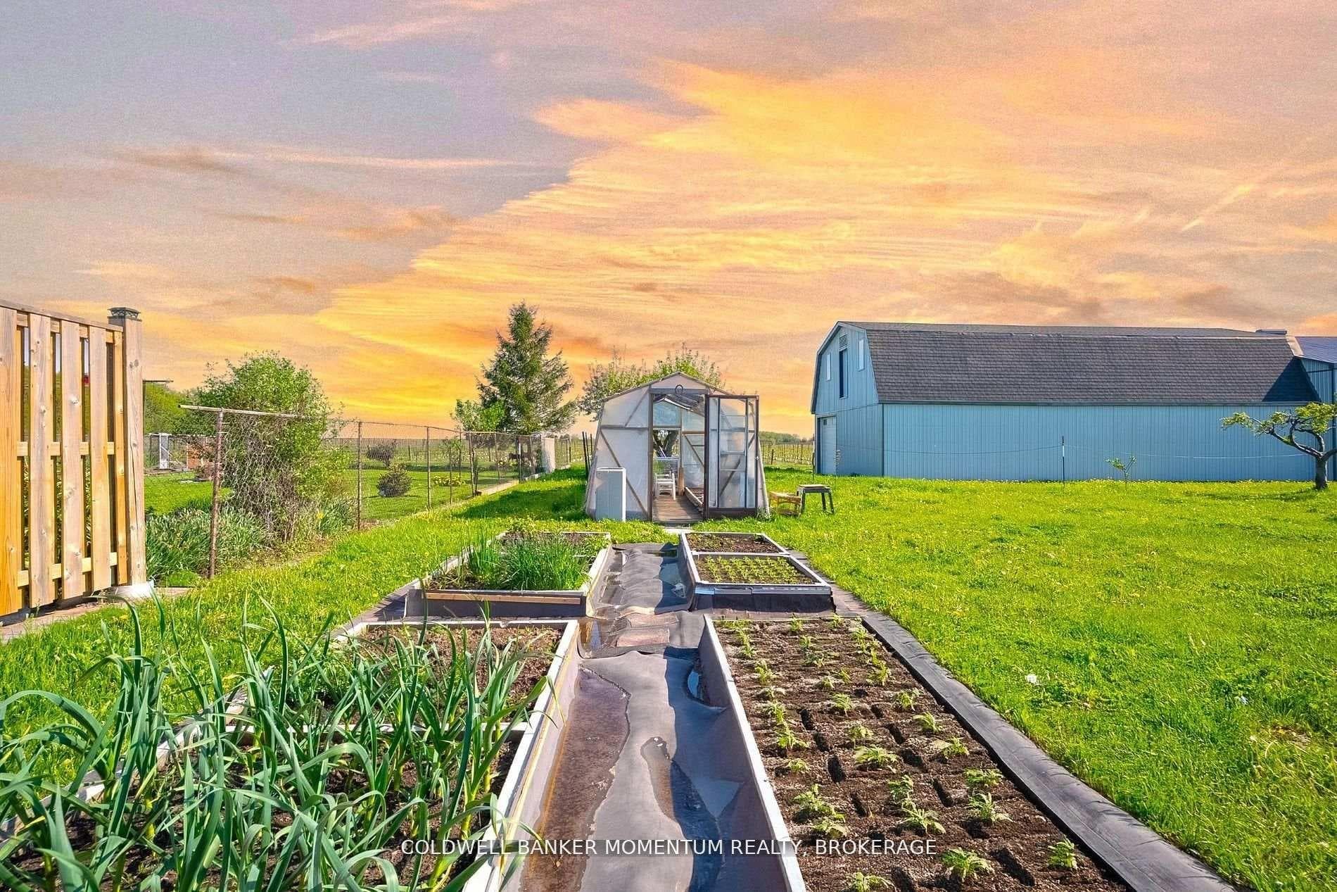 GROW YOUR OWN FRESH VEGETABLES IN RAISED BEDS