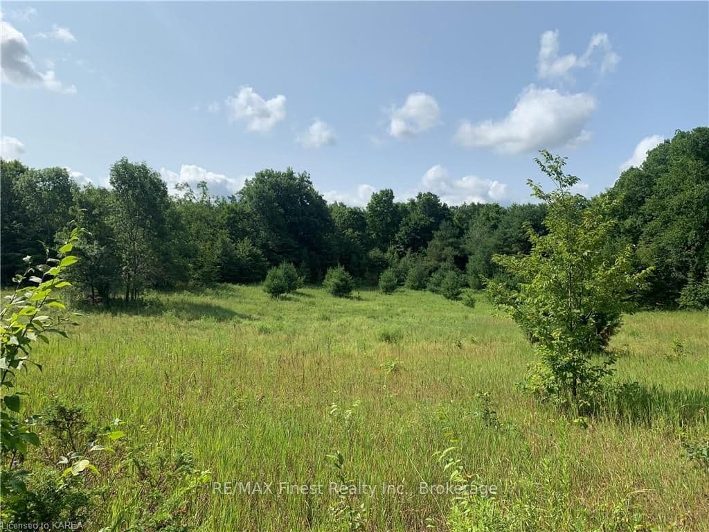 00 KELLY Road photo 2