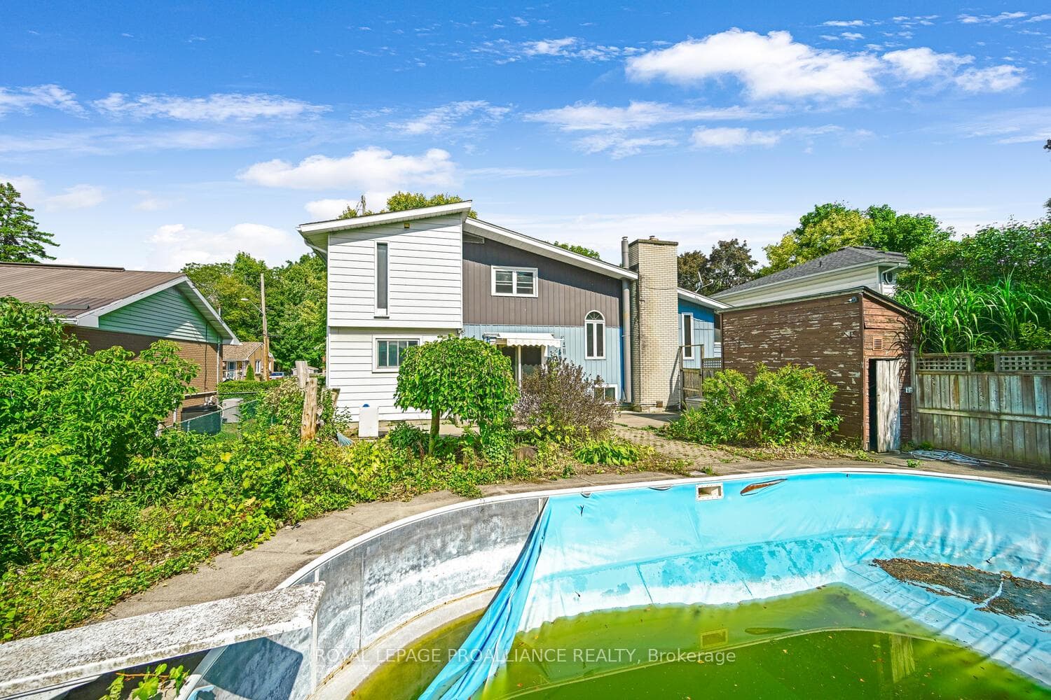 14 Davison Avenue photo 6