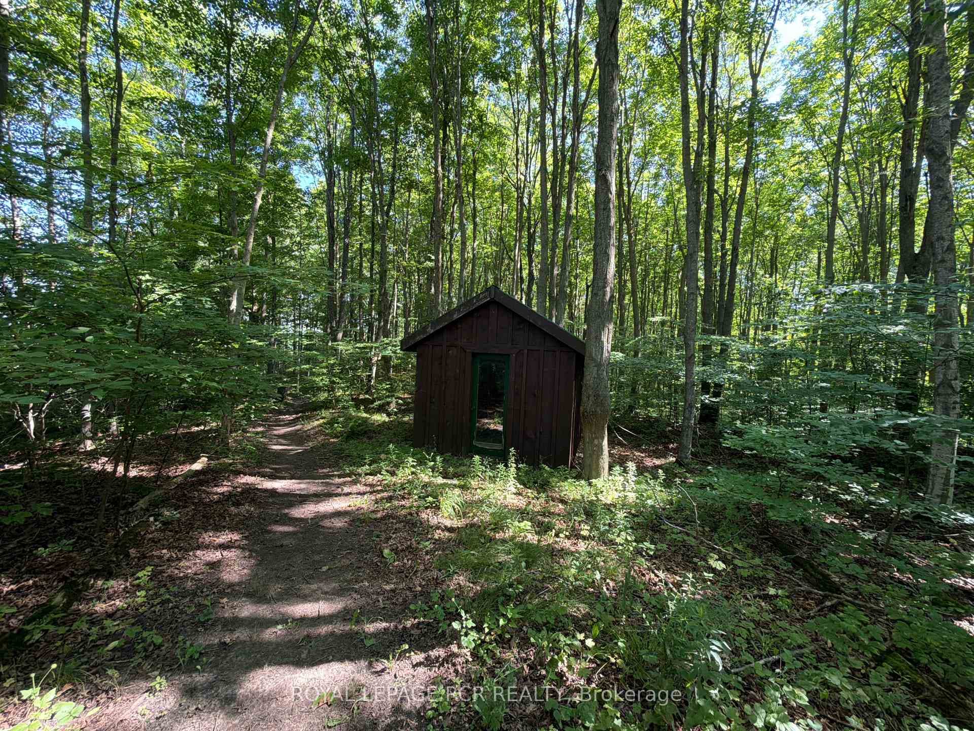 427049 25th Side Road photo 14