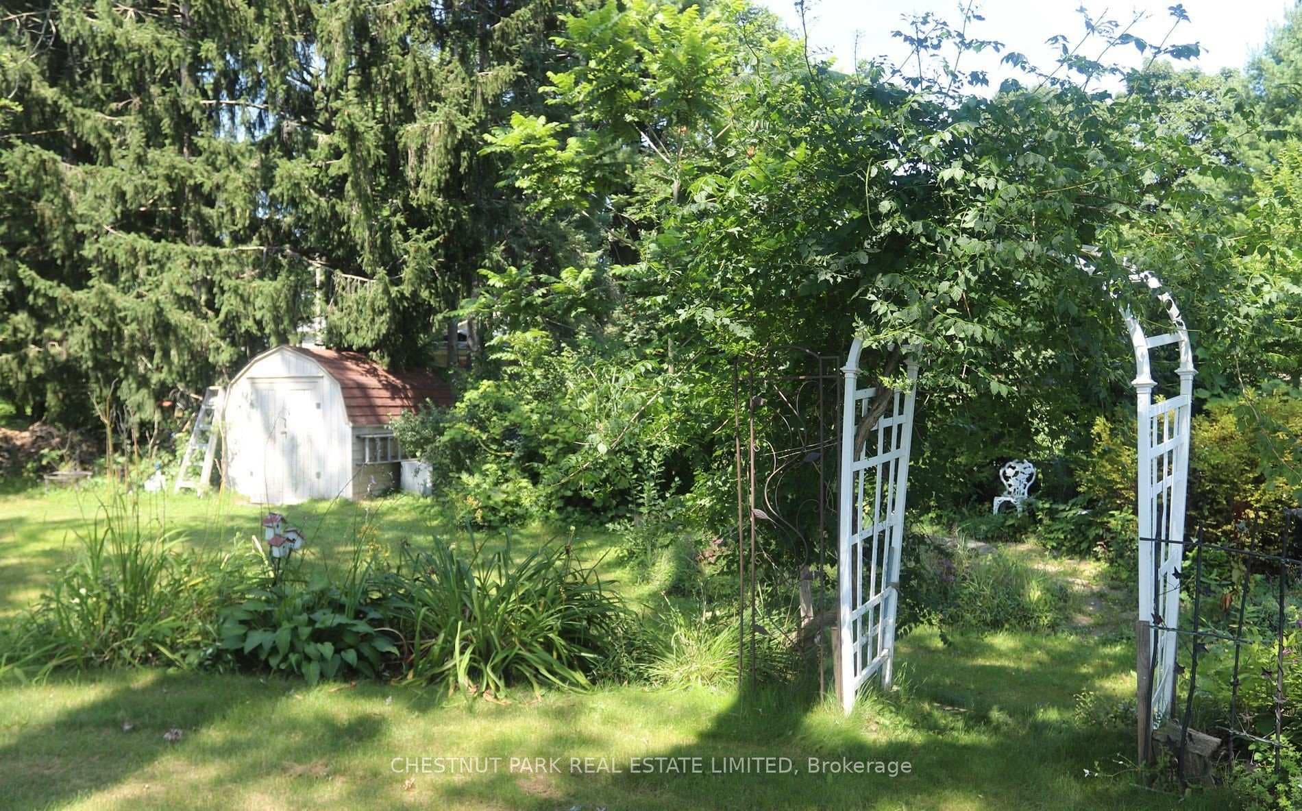 12 Roger Street photo 23