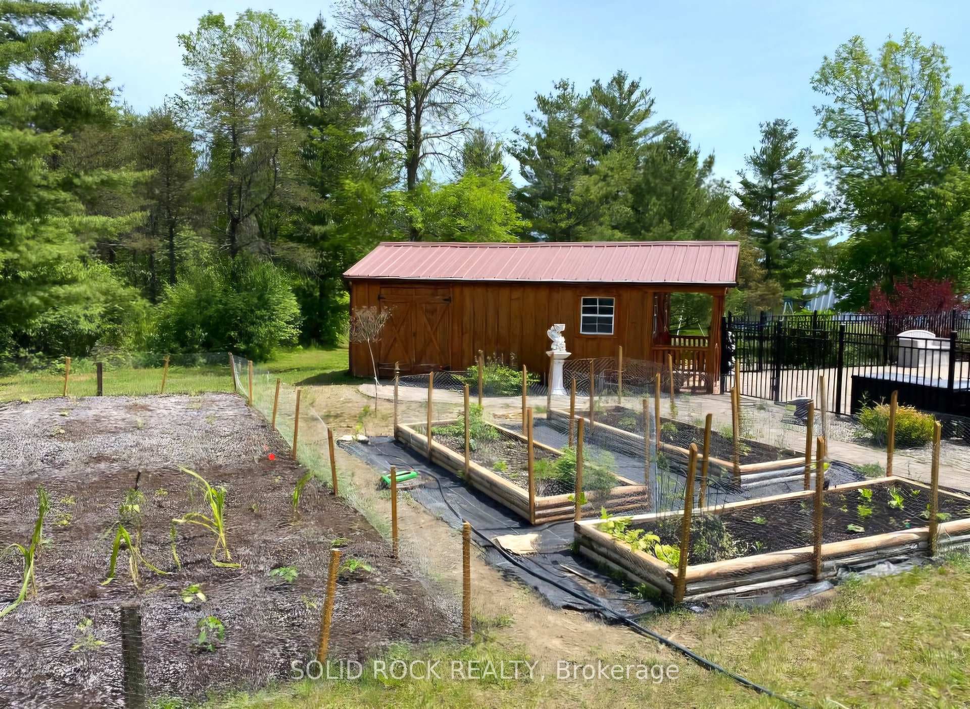 8827 COUNTY ROAD 6 Road photo 10