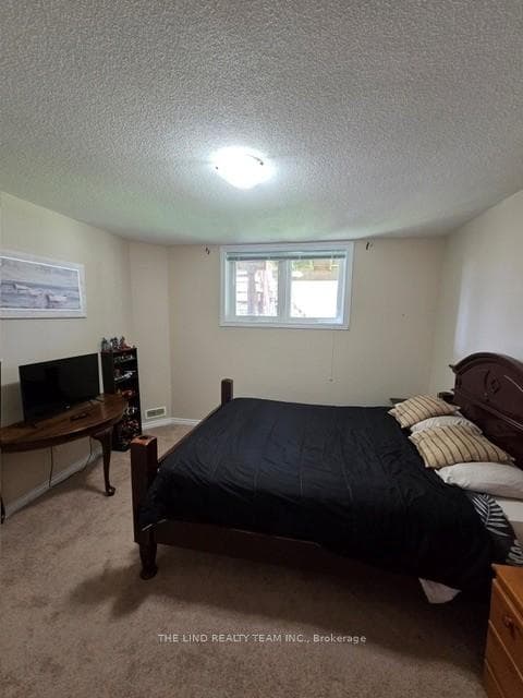 61 Mcintyre Drive photo 50
