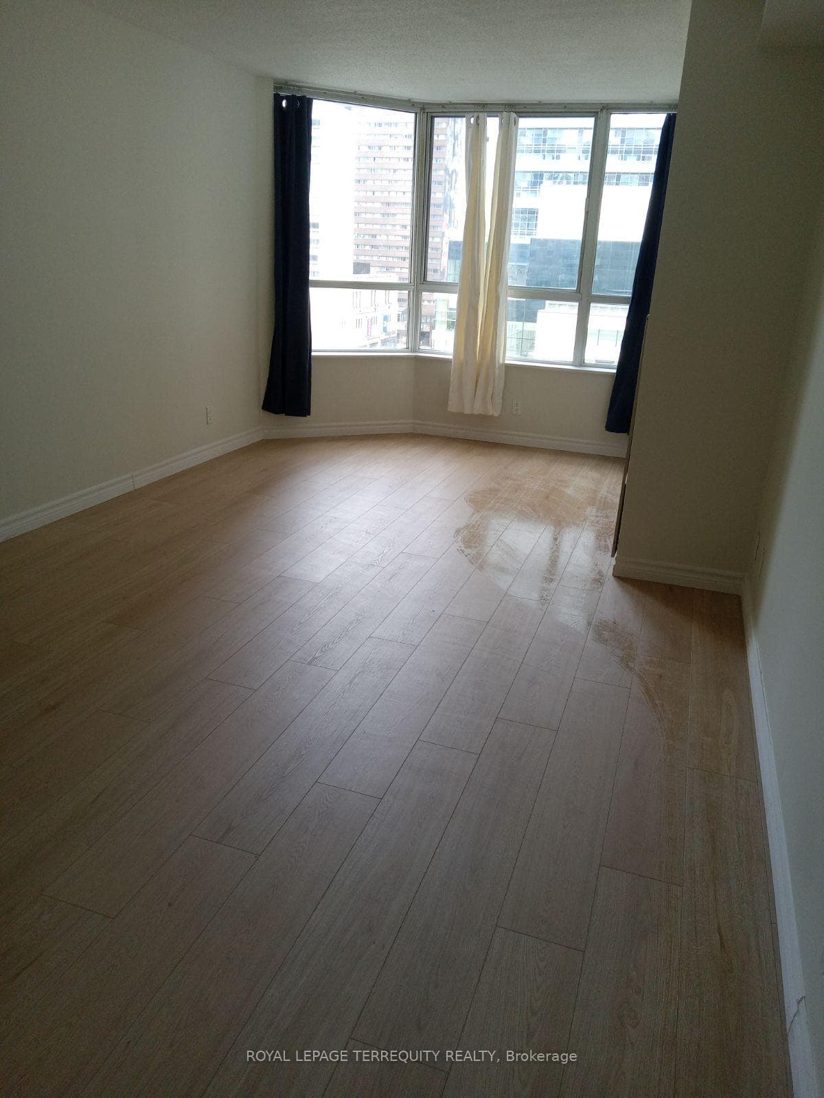 711 Bay Street Unit 919 photo 3