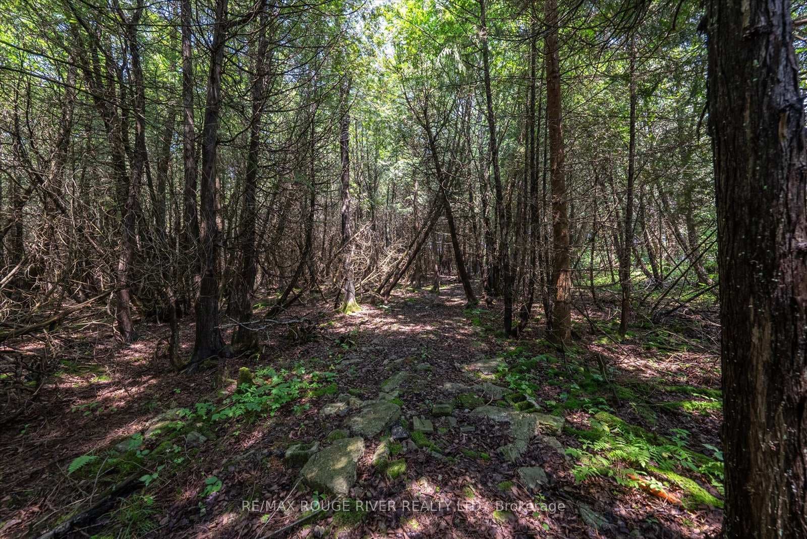 3507 Lambs Road photo 39