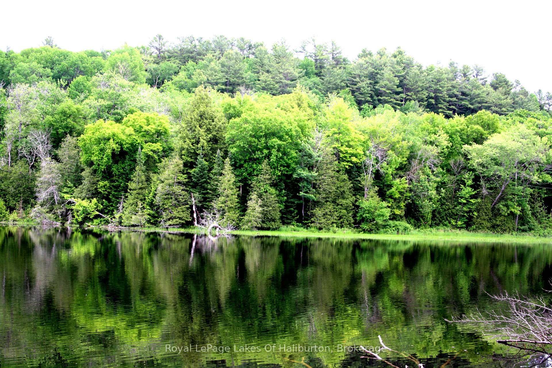 0 SOUTH BEAVER LAKE Lane photo 8