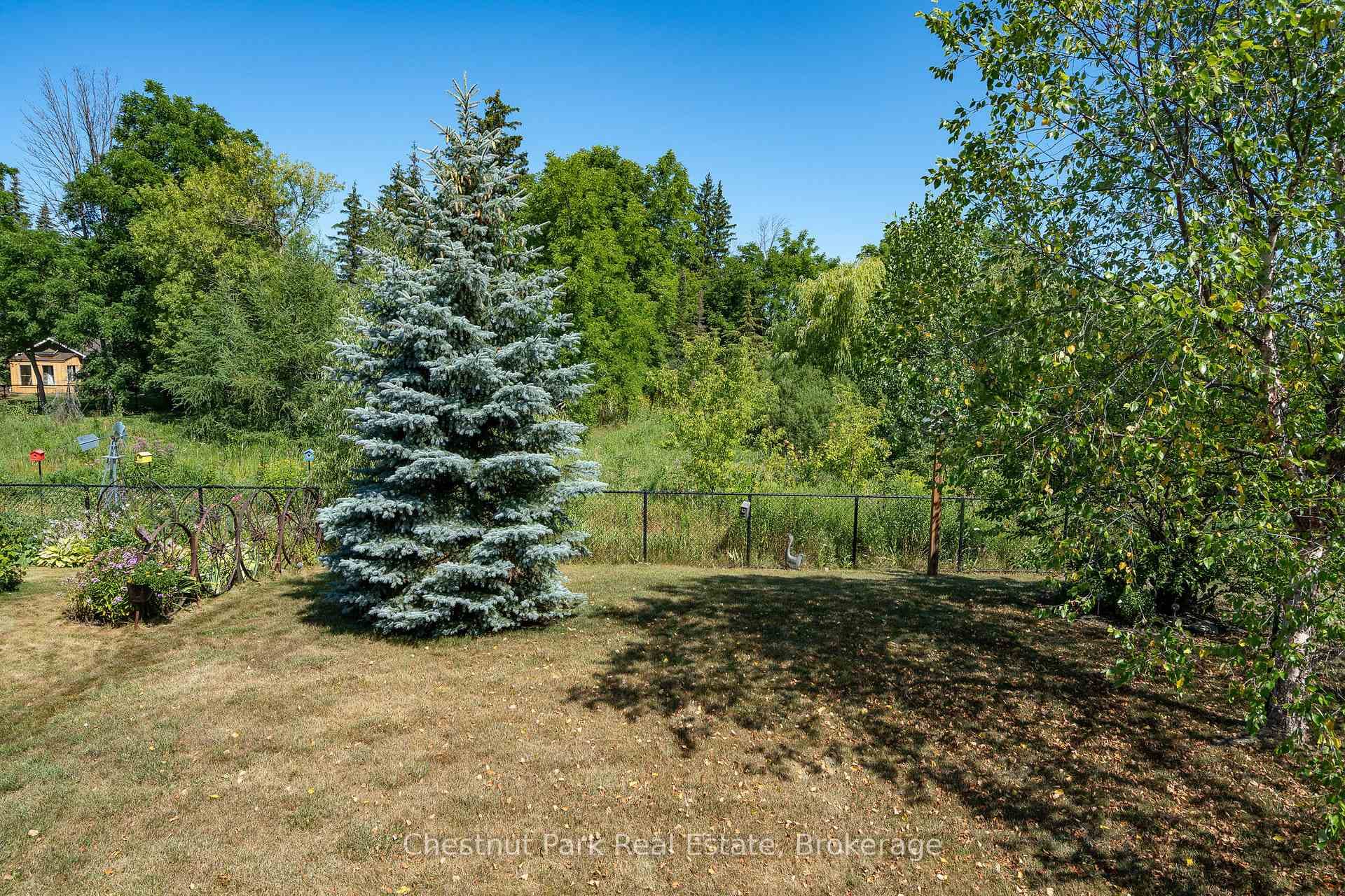 Landscaped partially fenced back yard