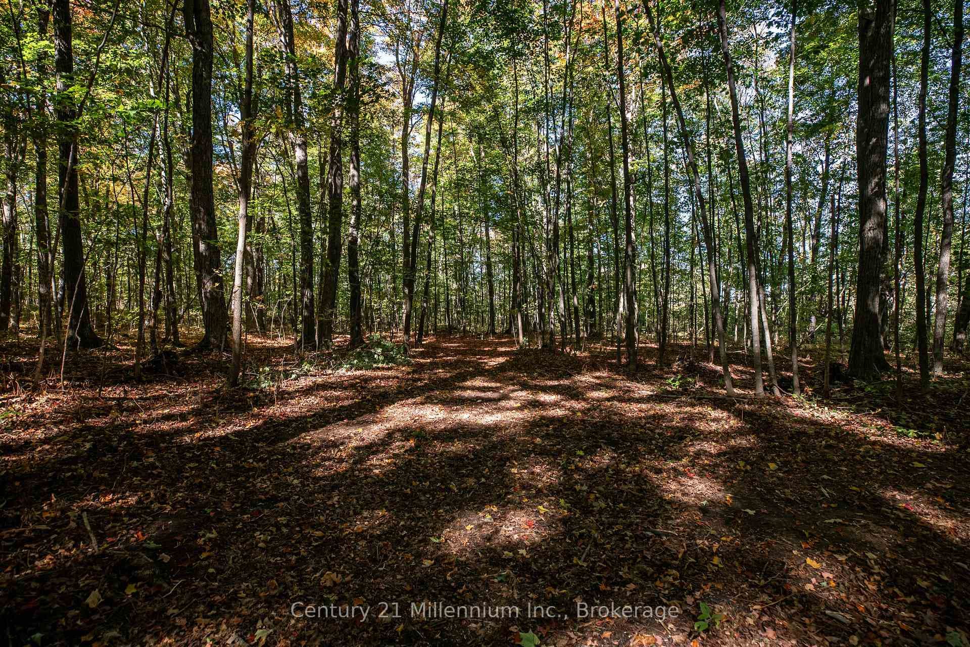 374518 6th Line photo 32