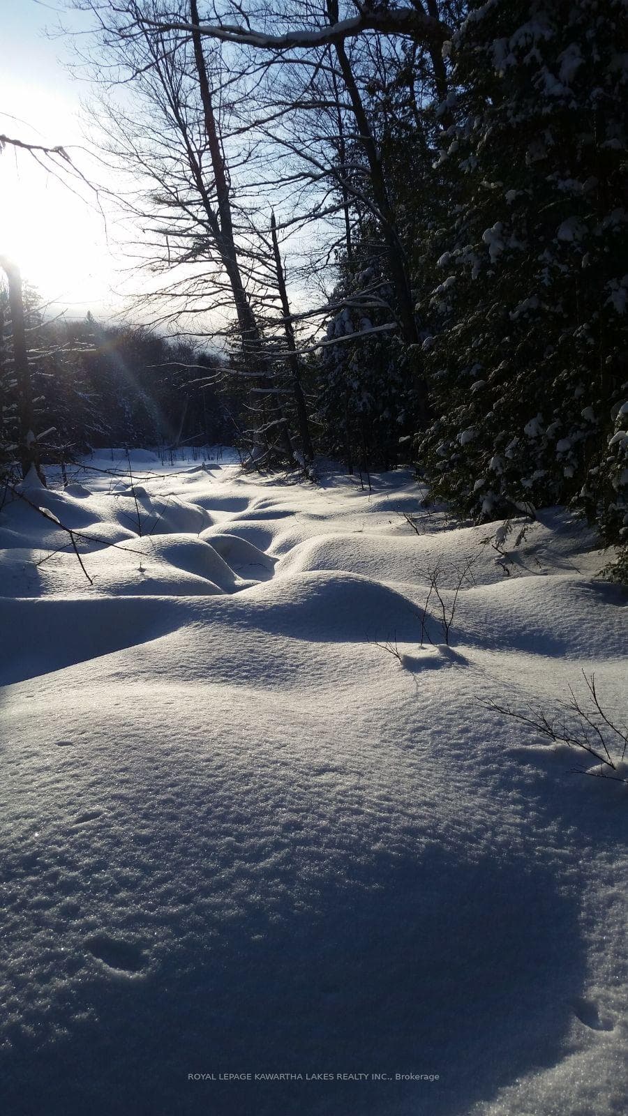 0 Red Chalk Lake Road photo 6