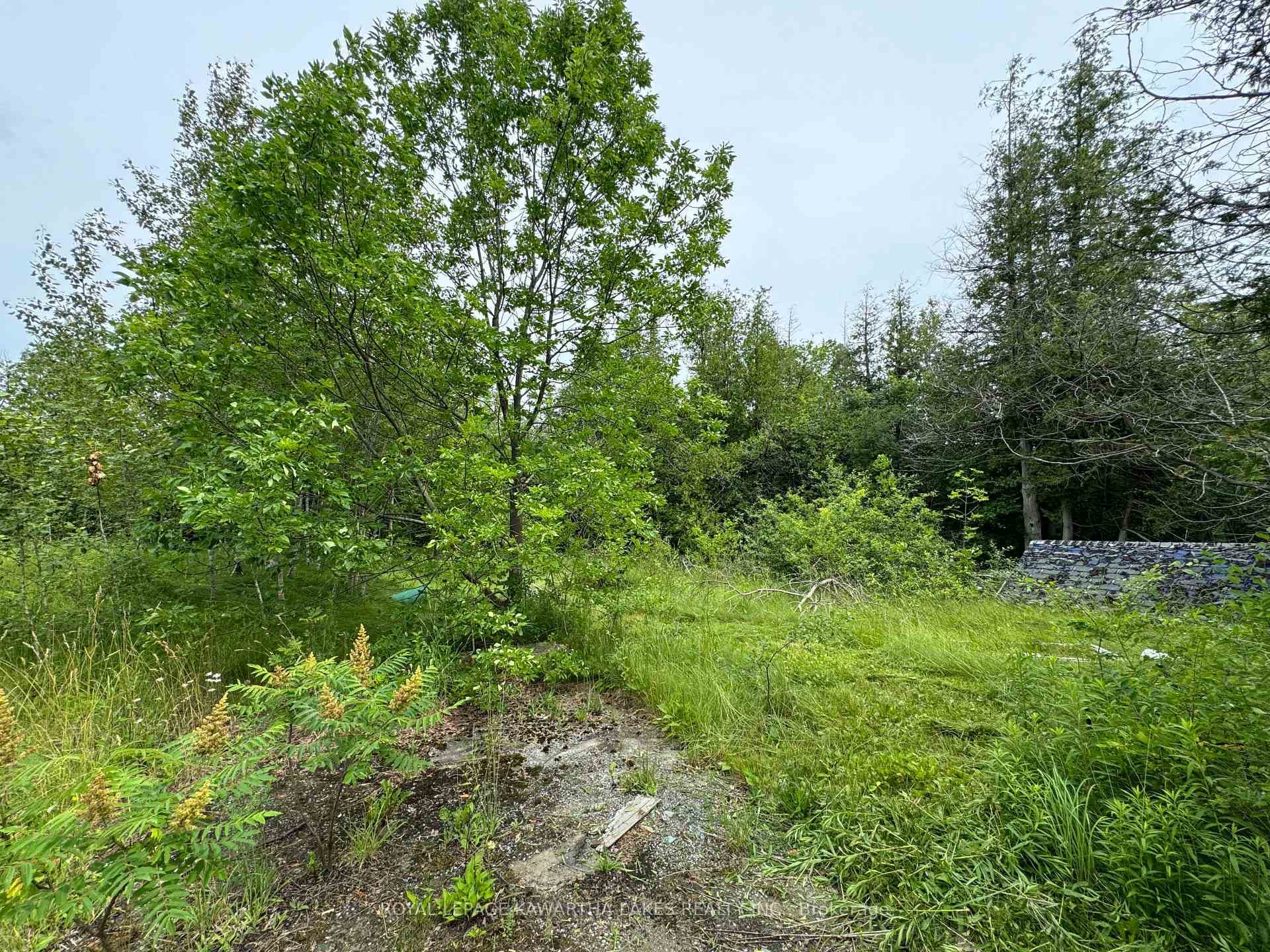 1405 Portage Road photo 8