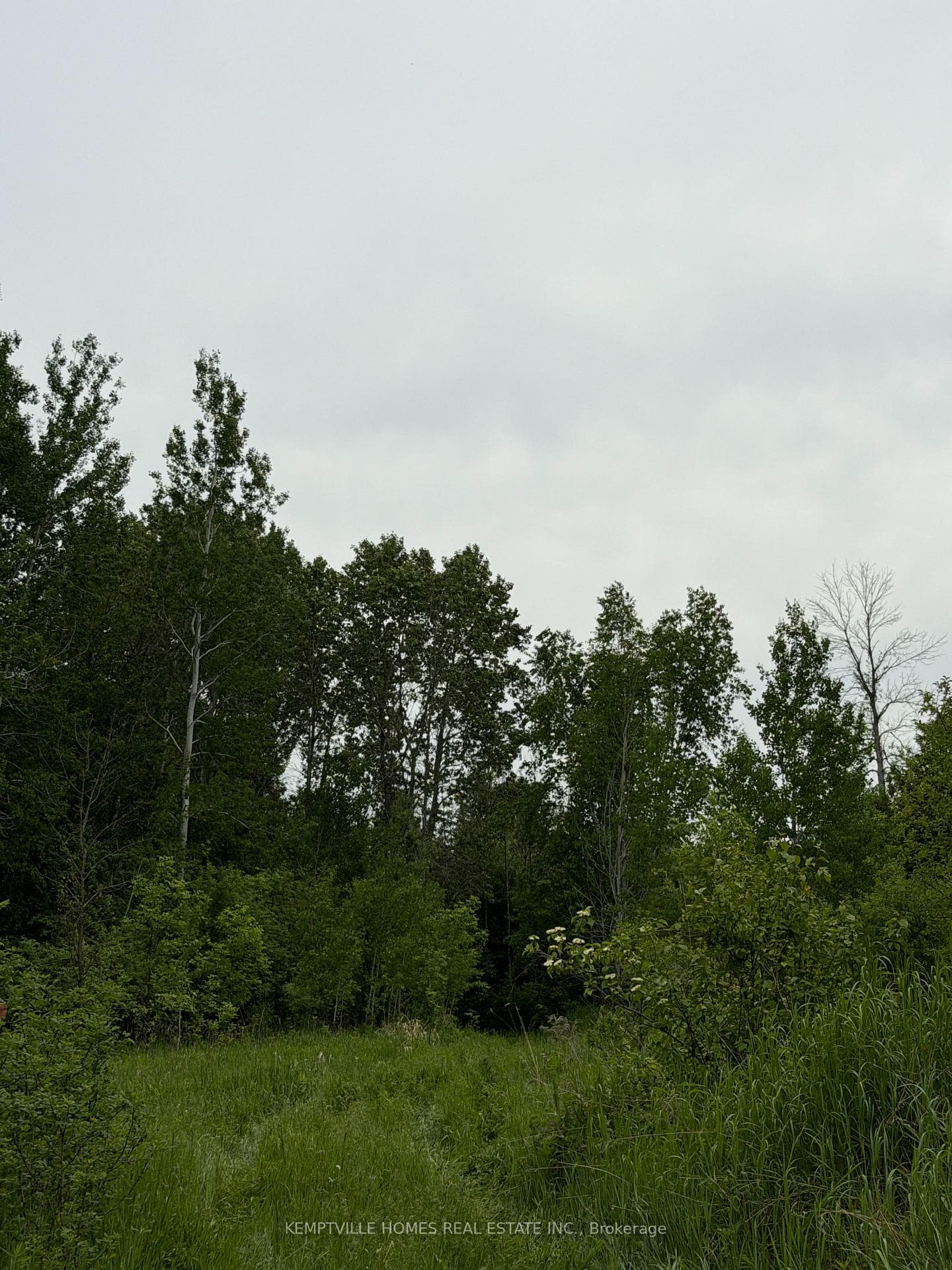 00 RICHARDSON Road photo 29