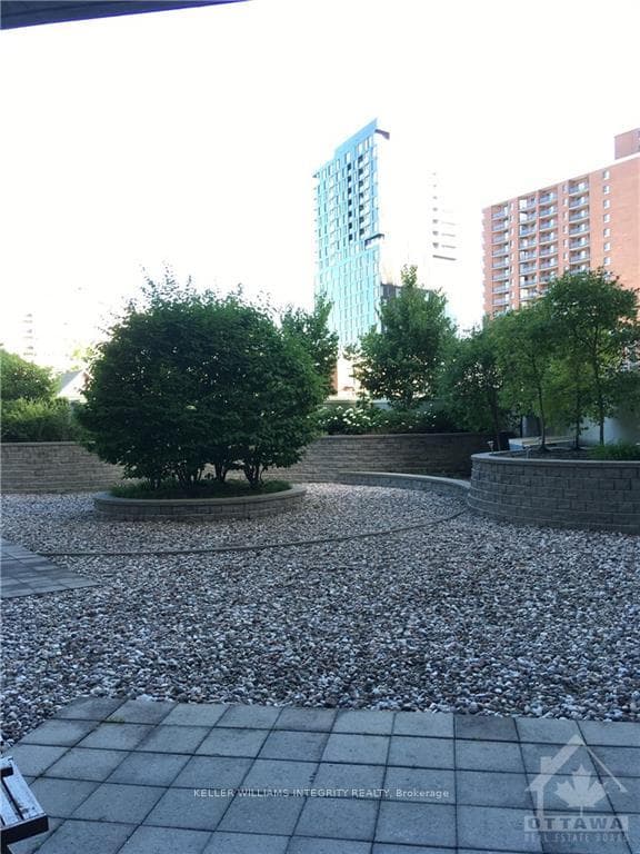 234 RIDEAU Street Unit 210 photo 14