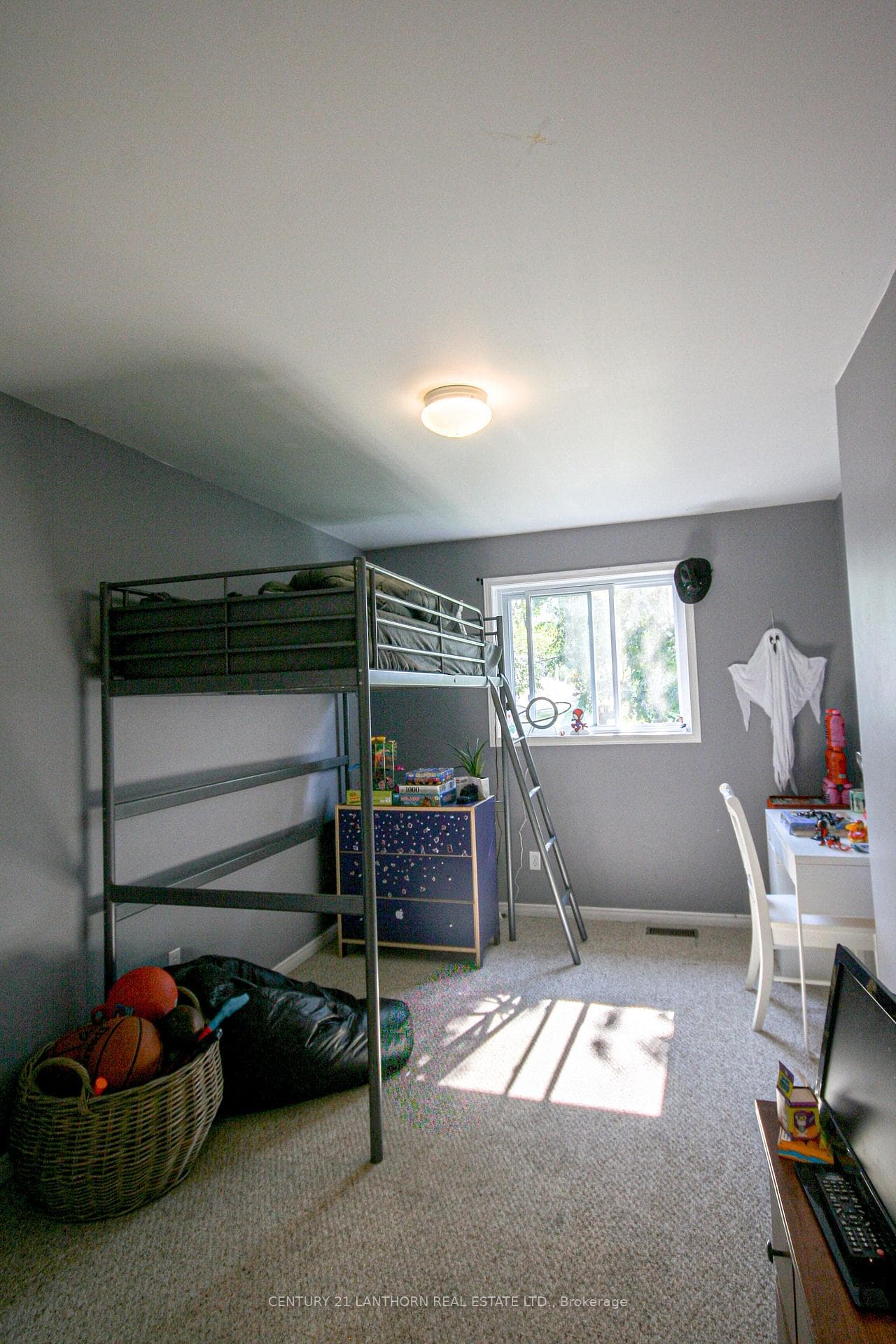 44 Salisbury Road photo 16