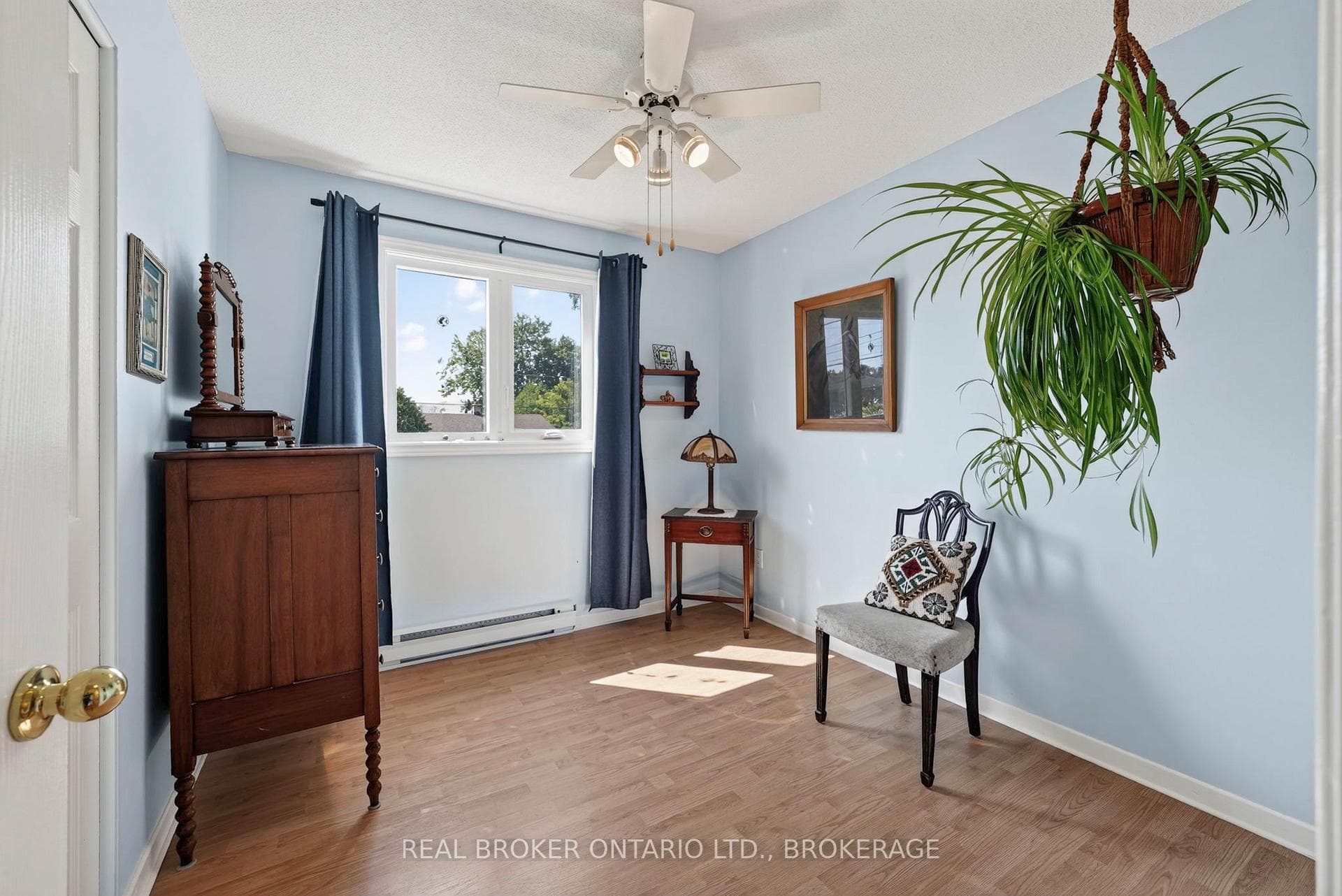 11 Albert Street photo 24