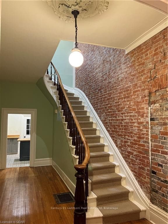 231 ALBERT Street photo 5