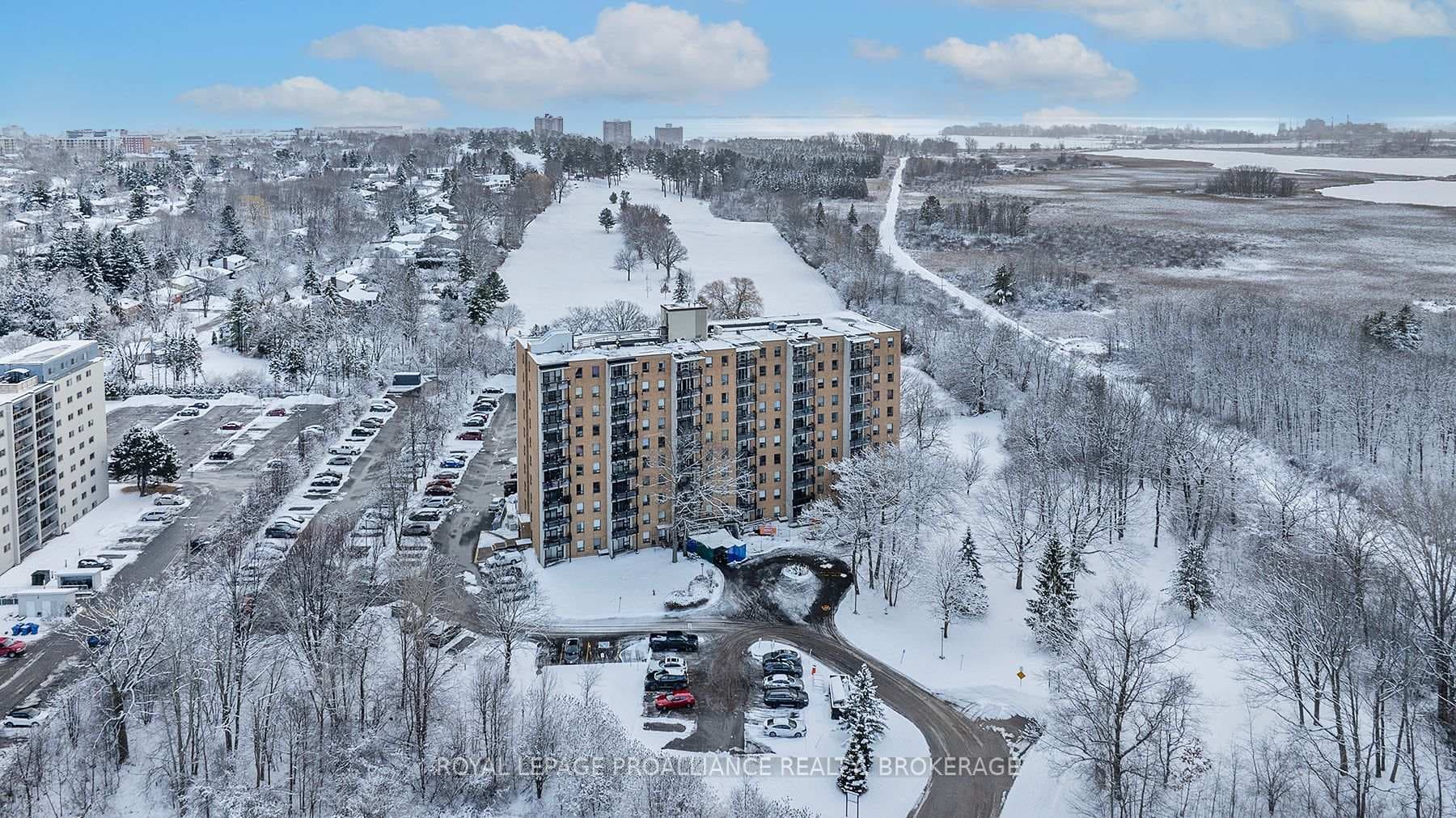 66 Greenview Drive Unit 1006 photo 1