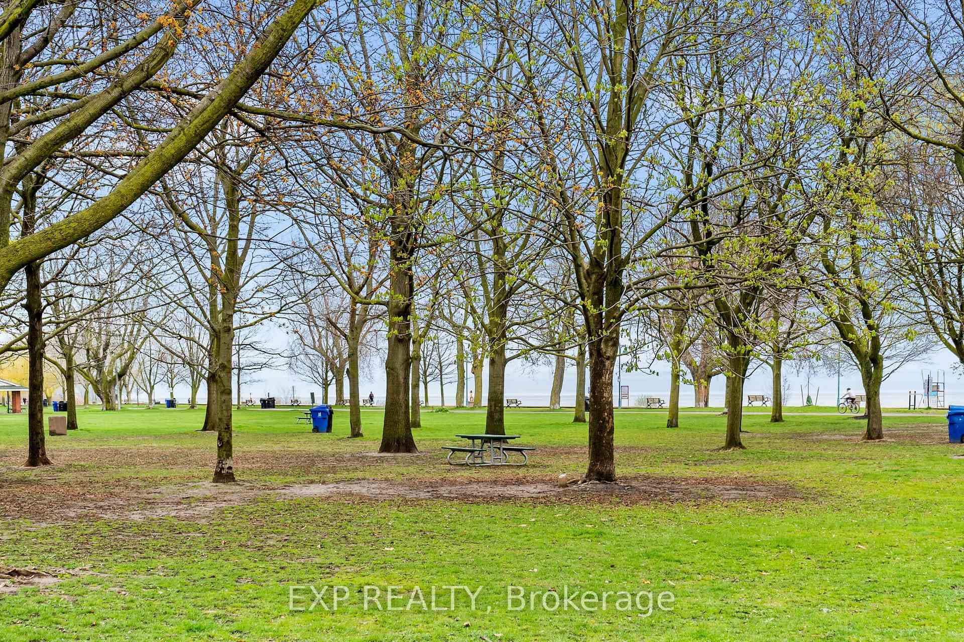65 Woodbine Avenue photo 31