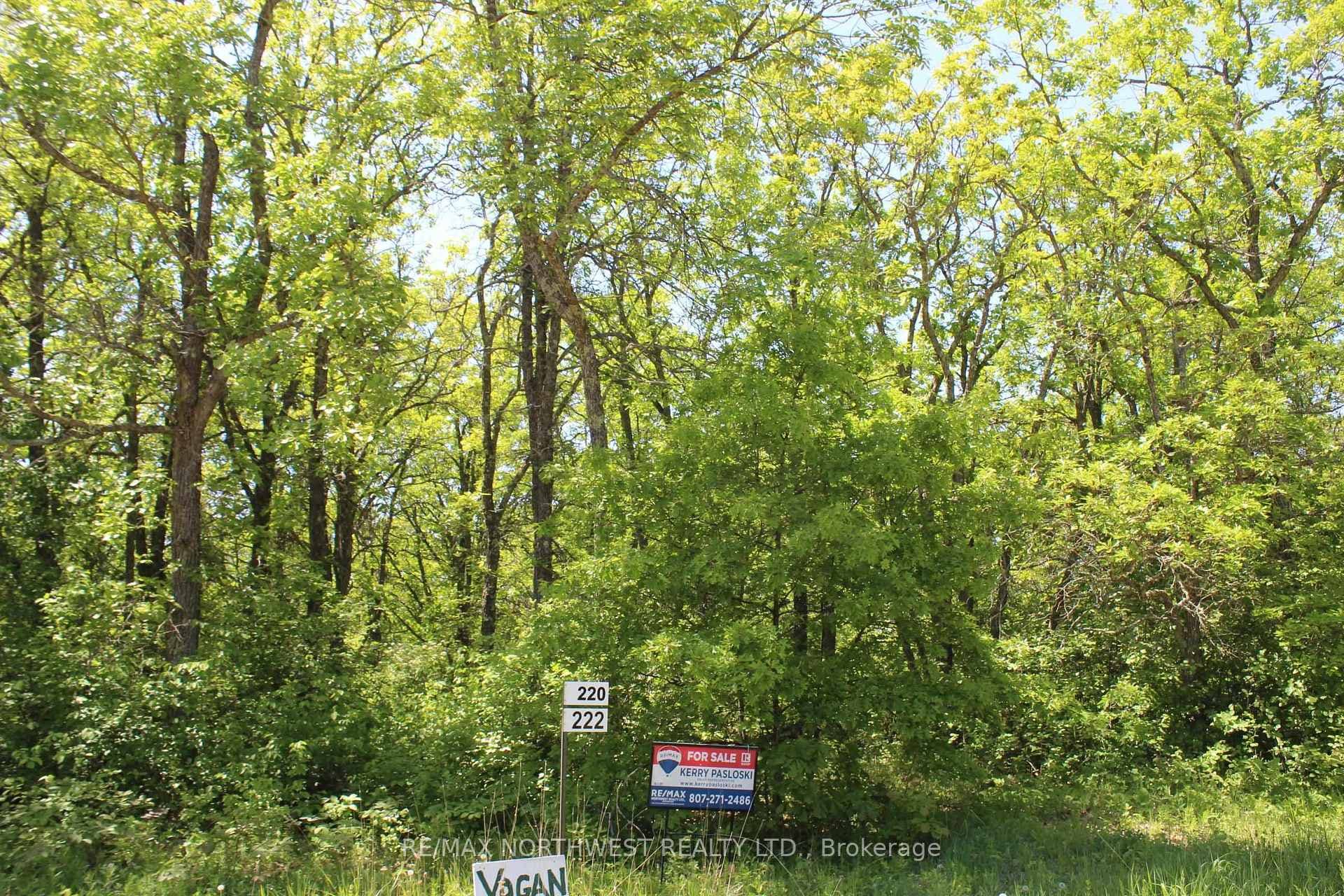 220 MORRISON RD photo 33
