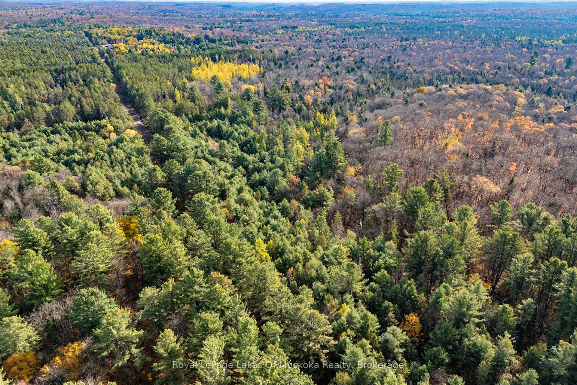 267 & 321 Cardwell Lake Road photo 4