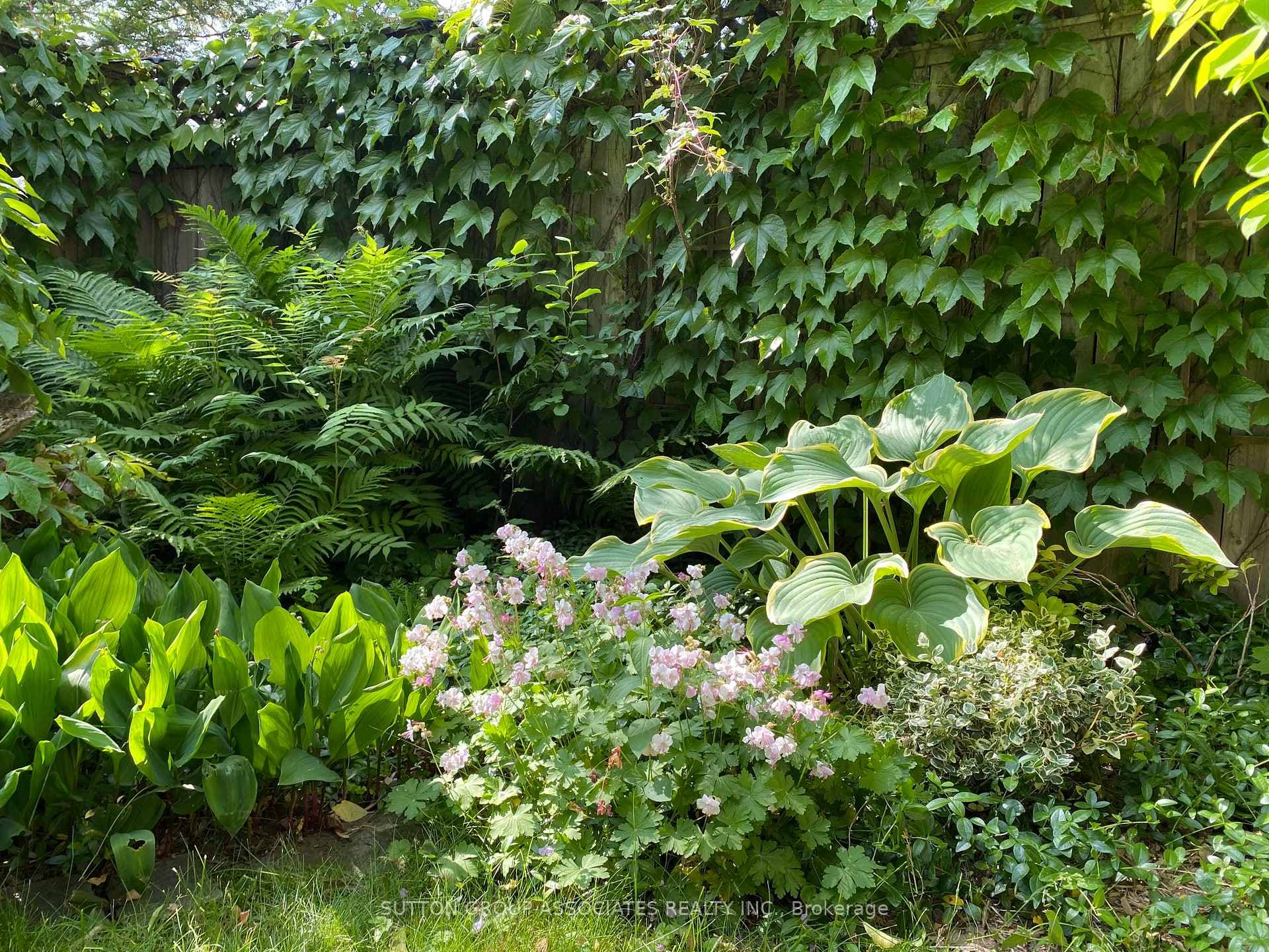 West facing garden