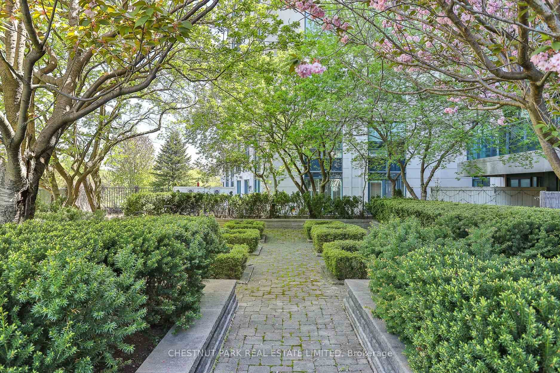 Courtyard garden