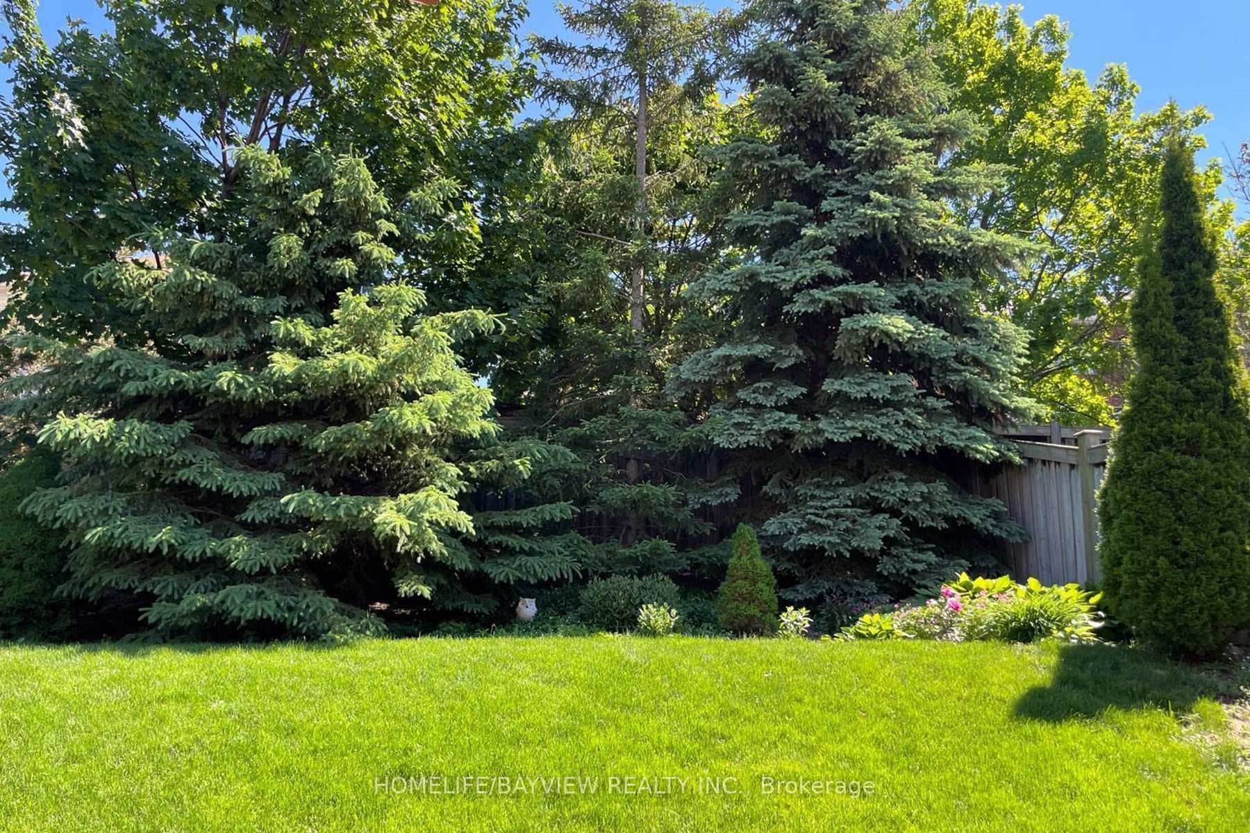 1513 Skyview Street photo 50